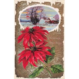 Vintage 1910 E Nash Christmas Postcard Red Poinsettia Winter Farm Scene No 30